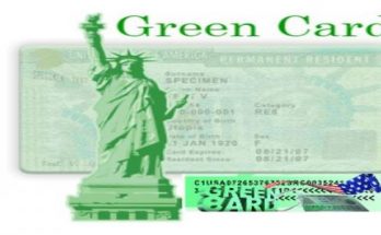 green card image